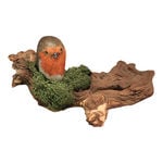 robin on wood