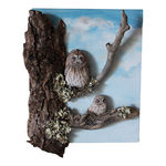 tawny owl &amp; owlet on canvas